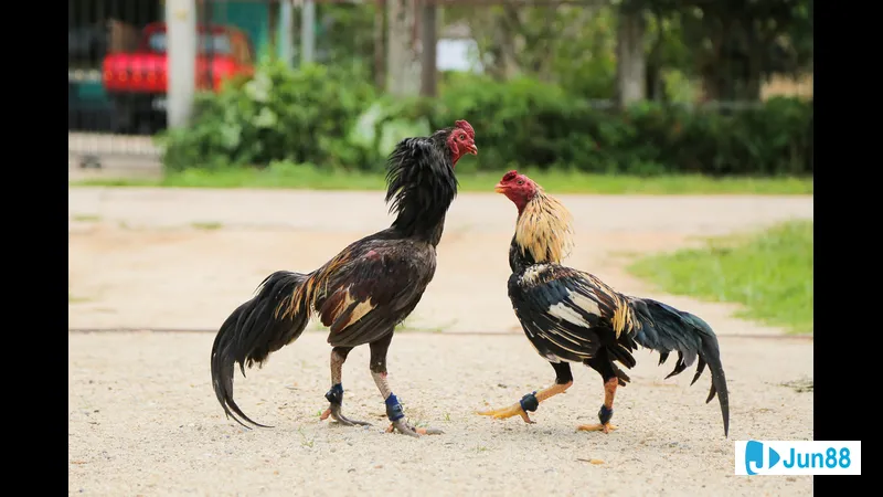 Môi trường an toàn