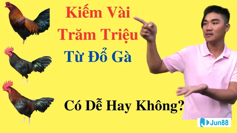 Kỹ thuật đổ gà đá