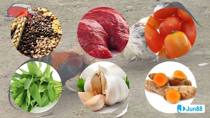 Tiêm vắc-xin phòng bệnh và tẩy giun định